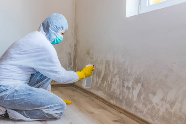 Licensed Attic Mold Removal service in Fayetteville, NC - WQB Mold Removal
