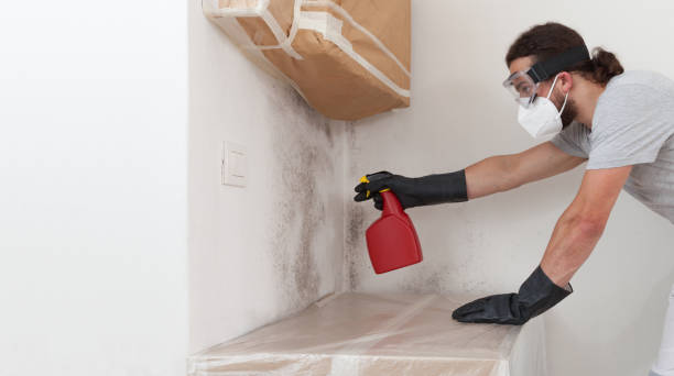 Professional Attic Mold Removal technician working in Fayetteville, NC