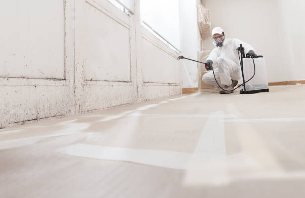 24/7 Emergency Attic Mold Removal experts in Fayetteville, NC