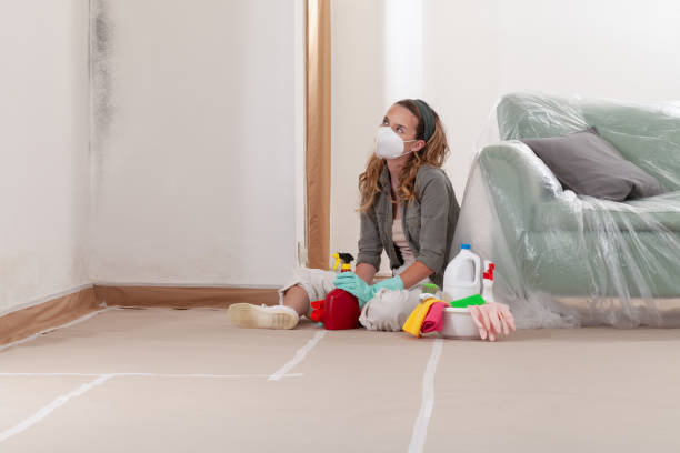 Reliable Attic Mold Removal contractor in Fayetteville, NC by WQB Mold Removal