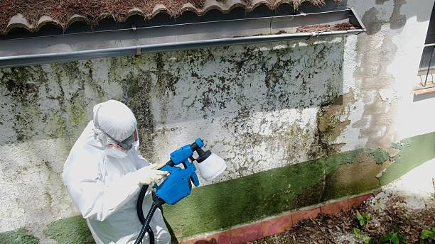 Top rated local Attic Mold Removal specialists in Fayetteville, NC
